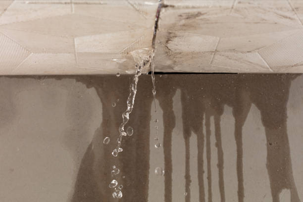 Professional Water Damage Restoration technician working in Yorkville, TN